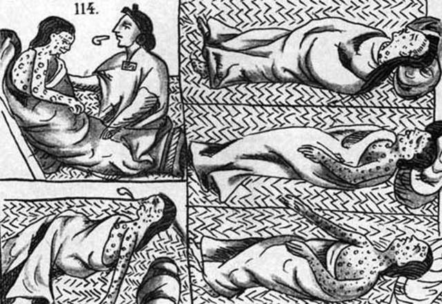 Disease and Indigenous Population Loss