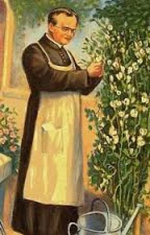 GREGOR MENDEL