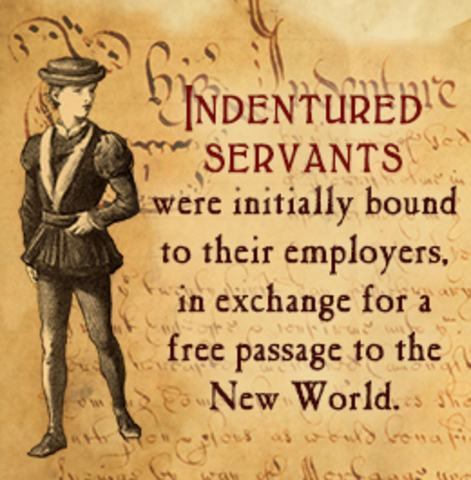 Indentured Servants