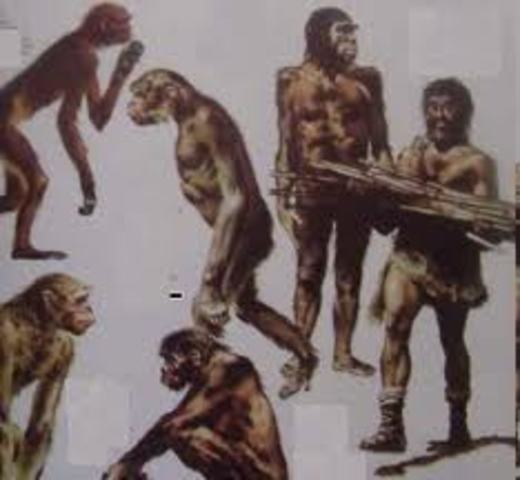 Desarrollo de los instrumentos de trabajo