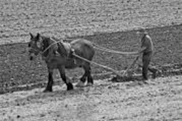2° Evento: Invención  del  arado