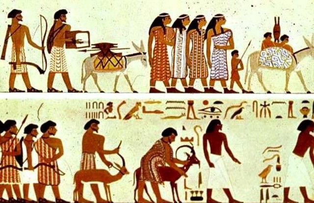 Domesticaciòn silvestre