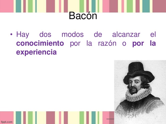 Bacon
