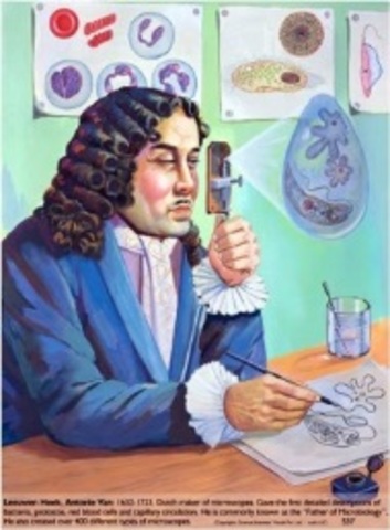 Descubrimiento de las bacterias