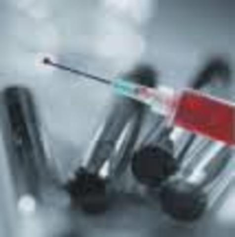 Decreto 2330 de 2006