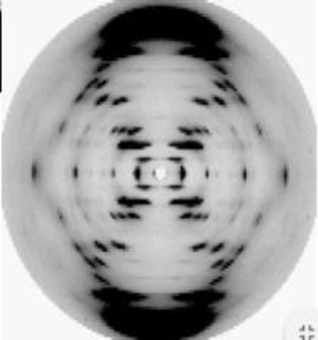 El ADN tiene forma de hélice
