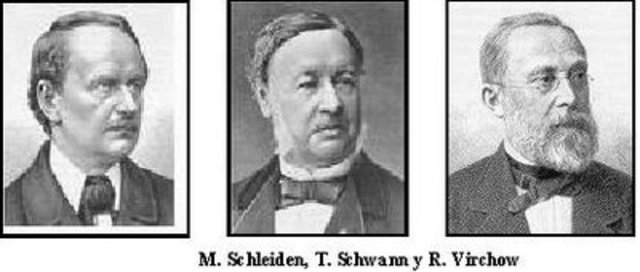 Els alemanys Matthias J. Schleiden,Theodor Schwann van establir la Teoria Cel·lular