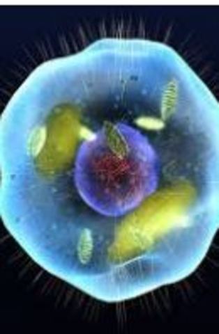 2010 Primera síntesis de una célula artificial