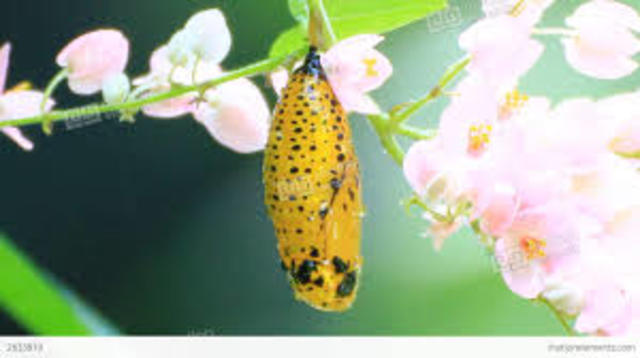 INICIA ESTA AVENTURA.