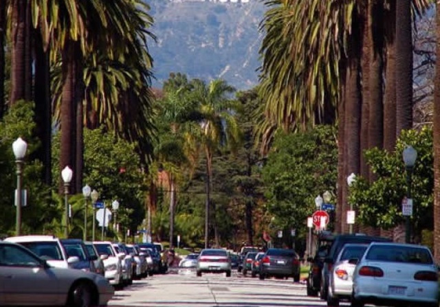 El Reglamento de Agencias de Viajes y el Reglamento de Arrendadoras de Automóviles.