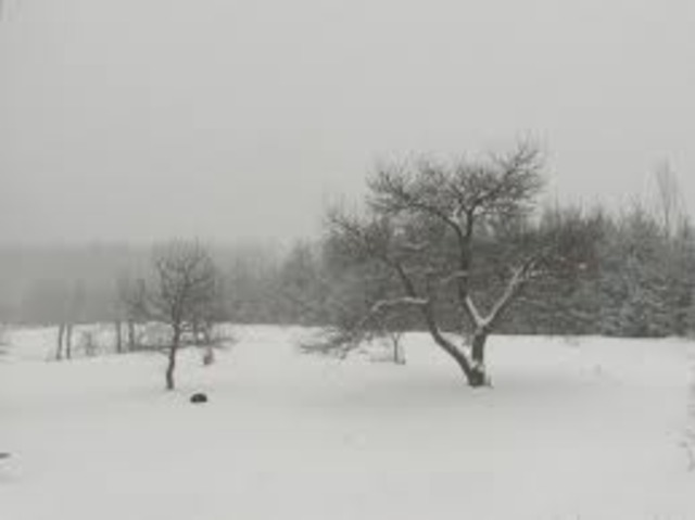 My first experience with snowww