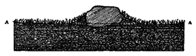 Descubrimiento de Darwin