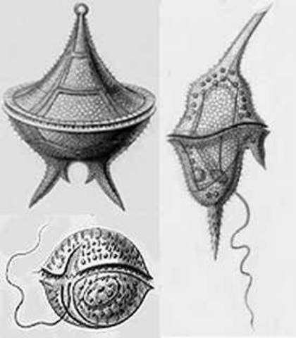 Regreso de la expedición