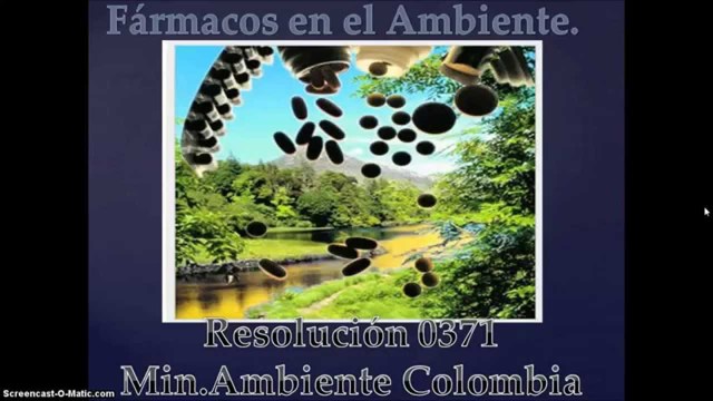 RESOLUCION 0371 DE 2009