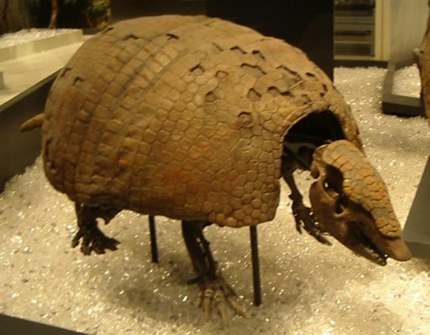 Punta Alta, Argentina