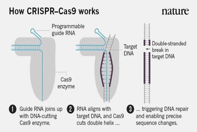 Una nueva herramienta revolucionaria