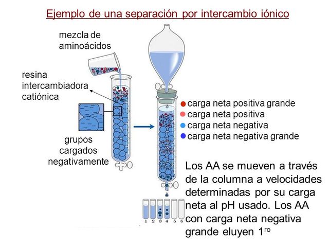Boyd, Tompkins, Spedding, Rieman, y otros