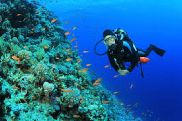 Turismo de Buceo