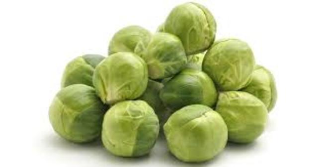 Brussels Geographic Conference