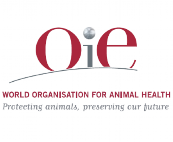 Organización Mundial de Sanidad Animal
