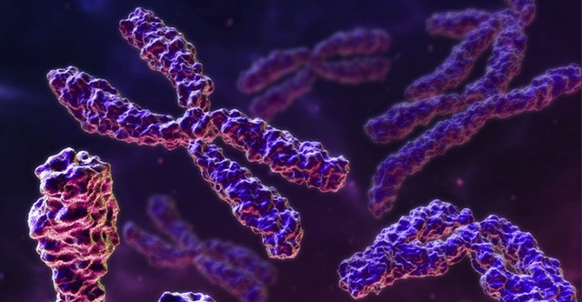 Se publica la secuencia del cromosoma humano 21