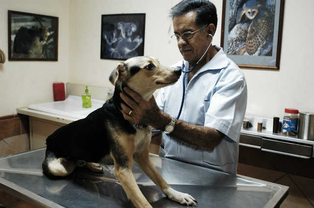 Aniversario de la Medicina Veterinaria Mexicana