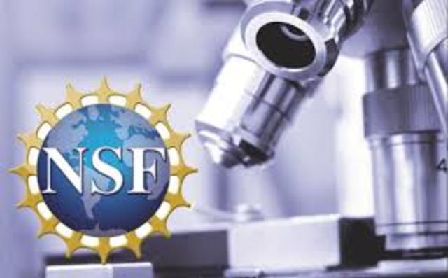 El uso comercial de la red