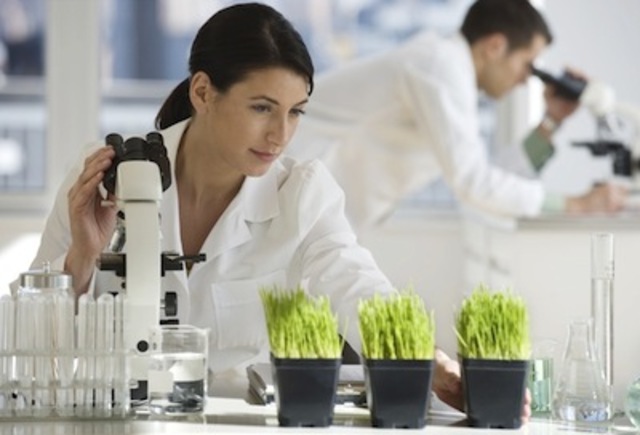 Decreto 3554 de 2004