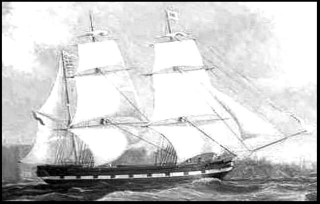 First whaling ship in NZ