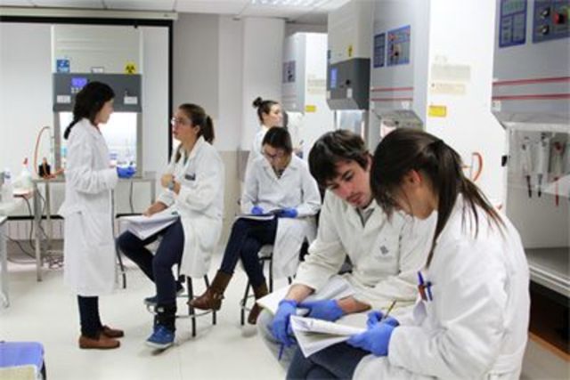 Resolución 1964 2006