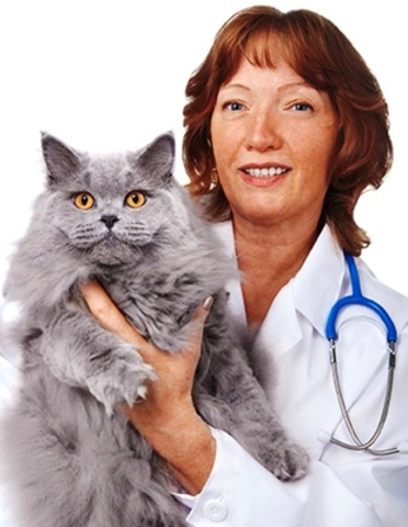 Incorporación de la Mujer a la Profesión