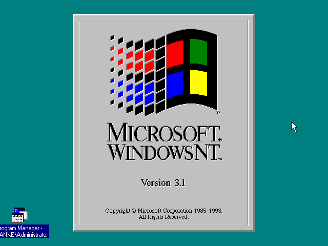 MICROSOFT WINDOWS 3.X