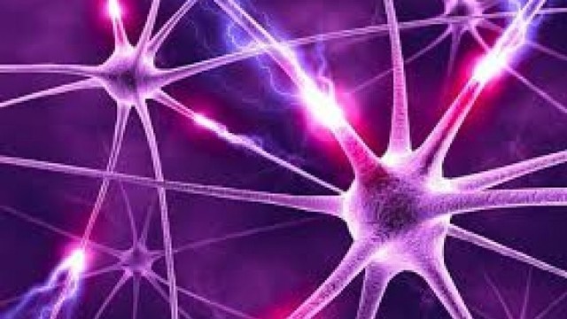 Aparición de las Agrupaciones  Neuronales