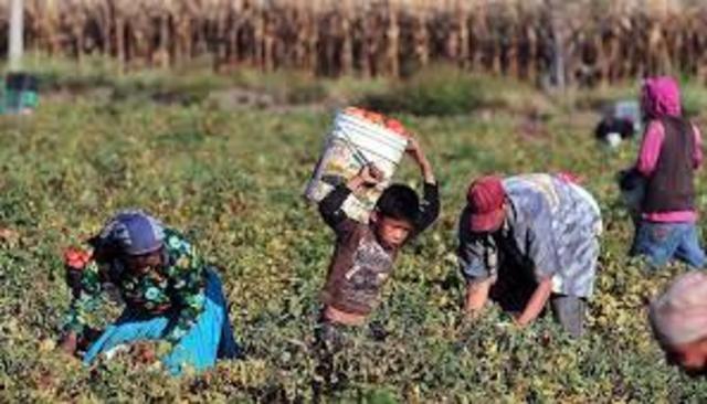 CONVENCIÓN DE LA ORGANIZACIÓN INTERNACIONAL DEL TRABAJO SOBRE LA PROHIBICIÓN DE LAS PEORES FORMAS DE TRABAJO INFANTIL Y LA ACCIÓN INMEDIATA PARA SU ELIMINACIÓN