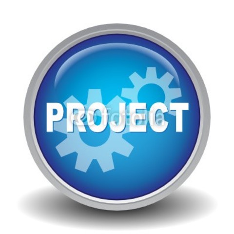 Project presentations