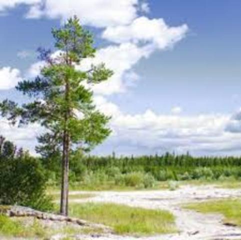 Infancia de Charles Darwin