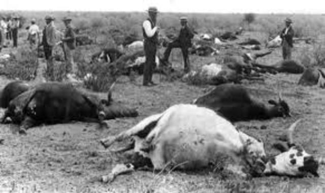 Epidemia de peste bovina