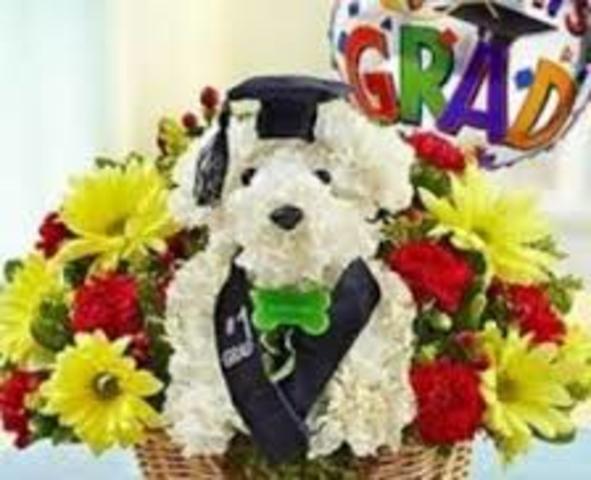 salida de la primaria