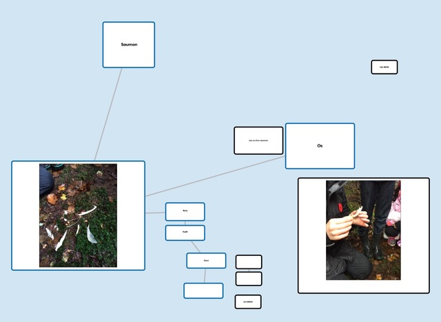 Introduction of first app: Popplet