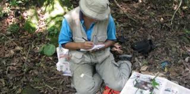 Descripción Laboral