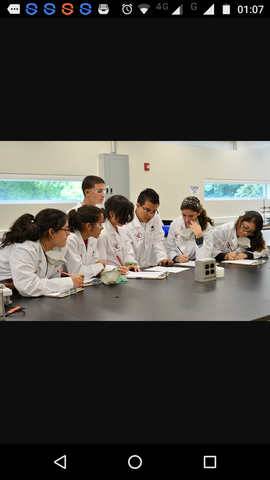 decreto número 3616 de 2005