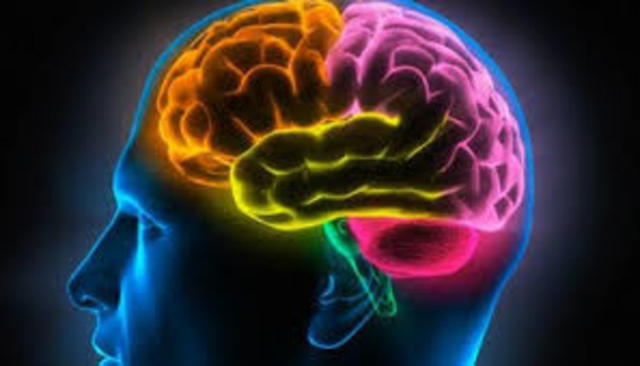 Psicofisiología experimental