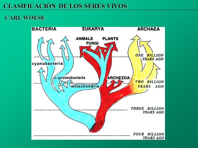 Sistemática y genética molecular