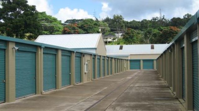 Murder and Auto- Theft