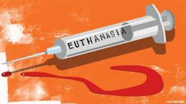 Euthanasia Program