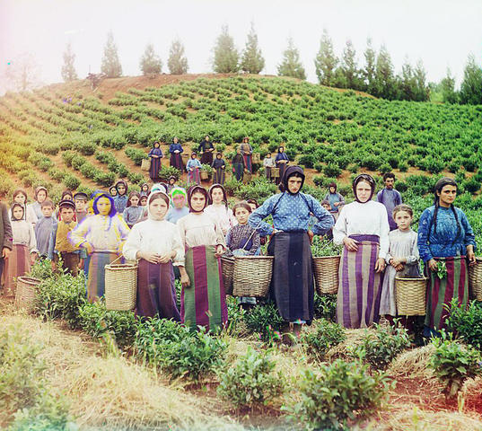 LA RUSIA ZARISTA A PRINCIPIOS DEL SIGLO XX