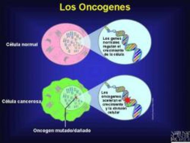 1975: ONCOGENES (MEDICINE)
