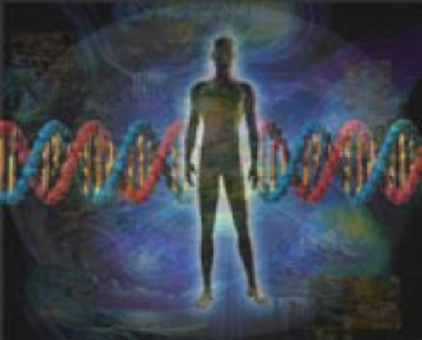 1985:POLIMORFISMO OF DNA