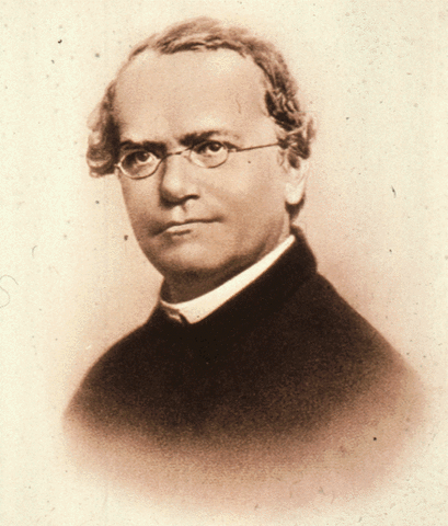 Gregorio Mendel