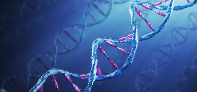 Human Genome Project